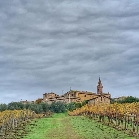 House With A View In Tuscany San Gusme 외부 사진