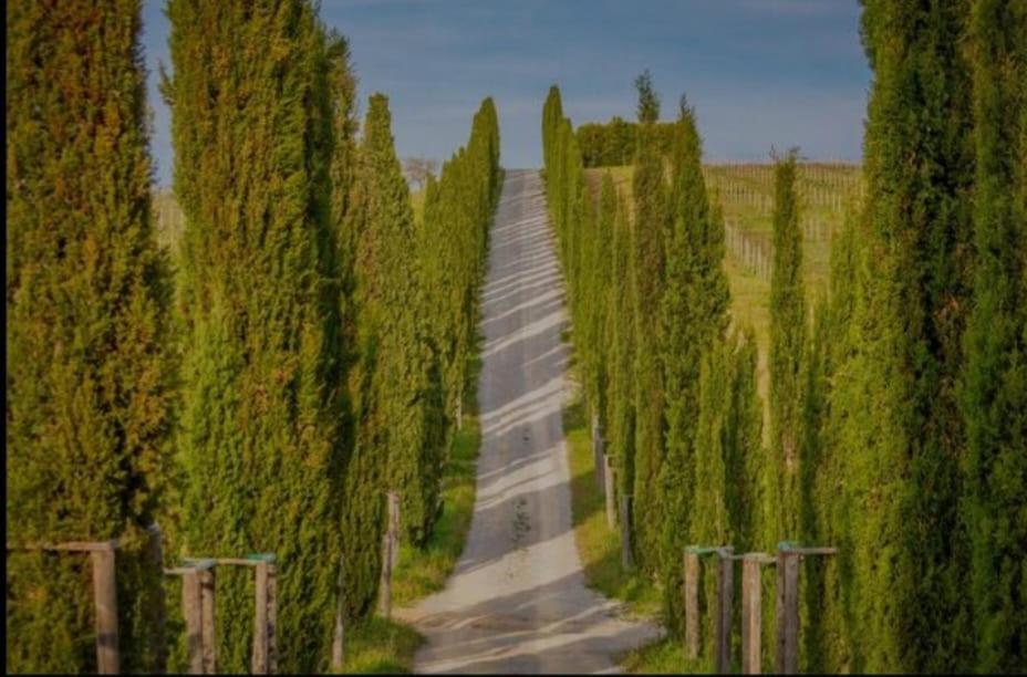 House With A View In Tuscany San Gusme 외부 사진
