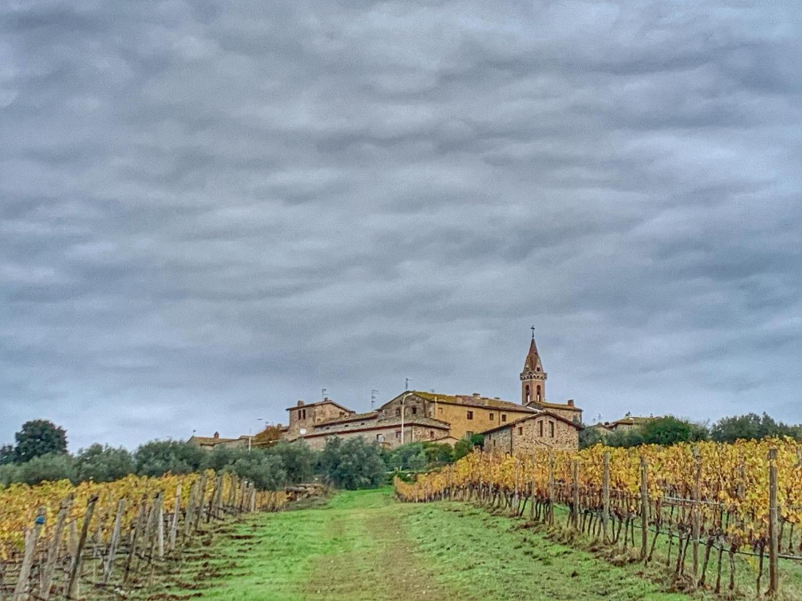 House With A View In Tuscany San Gusme 외부 사진