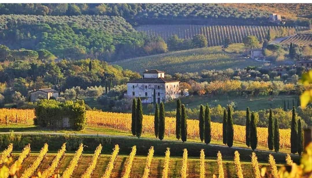 House With A View In Tuscany San Gusme 외부 사진