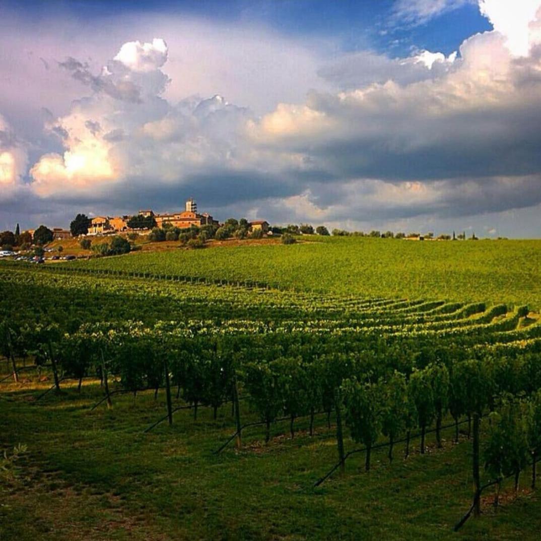 House With A View In Tuscany San Gusme 외부 사진